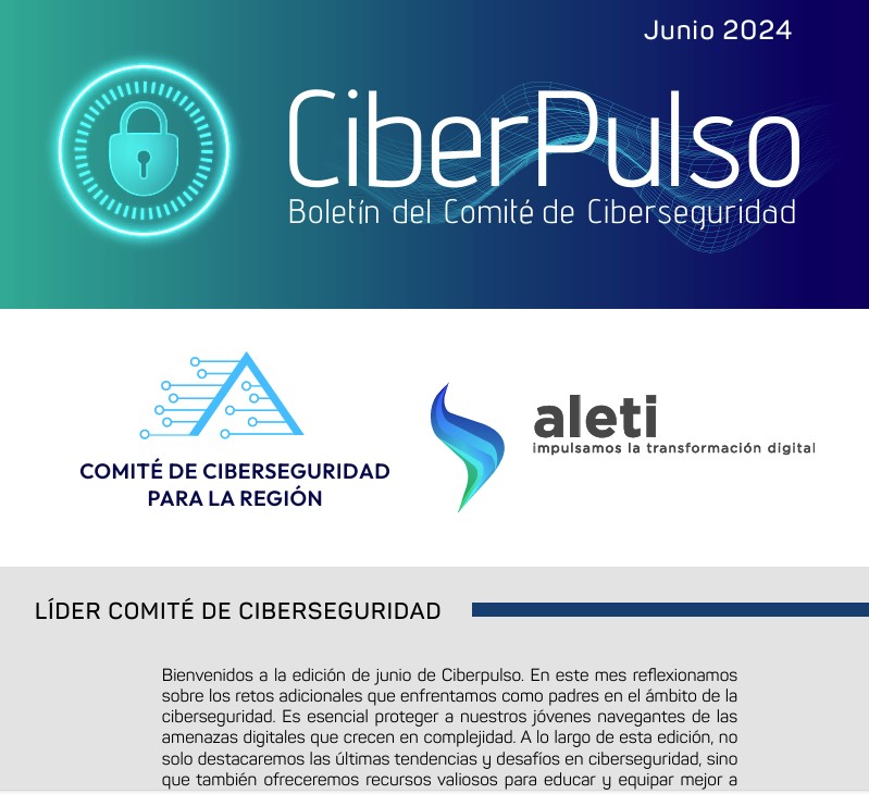 Boletim CiberPulso – Junho 2024